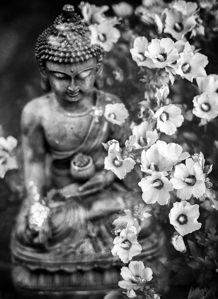 buddha, flower, buddhism, religion, meditation, faith, buddhist, religious, spiritual, peace, spirituality, symbol, culture, hinduism, relaxation, oriental, beautiful flowers, sacred, zen, statue, calm, hyacinthus, meditate, aromatherapy, aromatic, being, body, colorful, light, soul, all is one, mystical, chakra, spirit, buddha purnima, harmony, mystic, flower wallpaper, flower background, nature, petal, meditating, balance, health, sculpture, decoration, gray health, gray meditation, gray light, gray relax, gray balance, gray calm, gray peace, gray body, gray buddha, gray culture, gray color, gray soul, gray lights, buddha, buddha, buddha, flower, hinduism, soul, soul, chakra, chakra, chakra, chakra, chakra